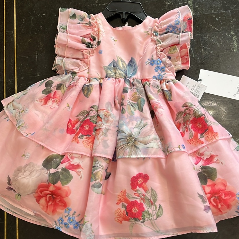 NWT 2T Pippa & Julie Dress